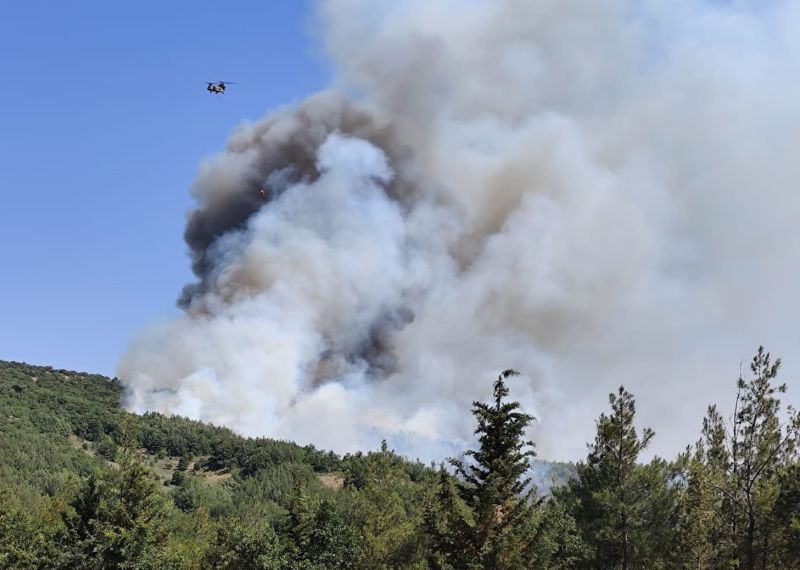 Balıkesir’de ormanlık alanda çıkan yangına ekipler havadan ve karadan müdahale