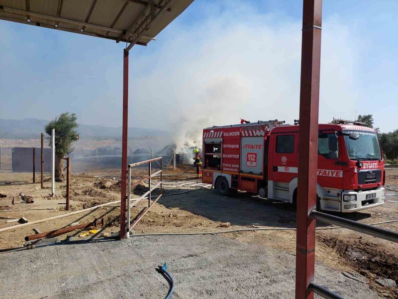 Balıkesir’in Edremit ilçesi Yaylaönü Mahallesi Değirmenönü Mevkii’nde bir besi çiftliğinde