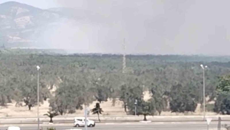 Balıkesir’in Edremit ilçesinde zeytinlik alanda yangın başladı. Yangına müdahale sürüyor.