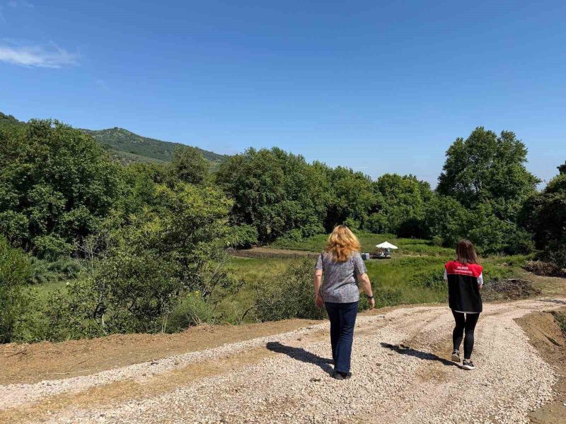 Erdek İlçe Tarım ve Orman Müdürlüğü ekipleri, ürün sınıflama analizlerine