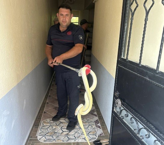 Balıkesir’in Gönen ilçesi Karşıyaka Mahallesi 4008 Sokak’ta bulunan bir apartman