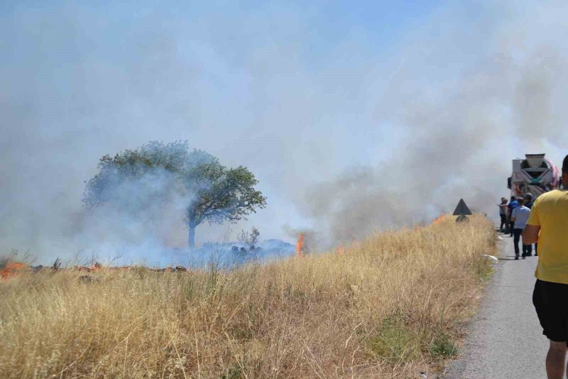 Balıkesir’in Ayvalık ilçesinde otluk alanda çıkan yangın rüzgarın etkisiyle sanayi