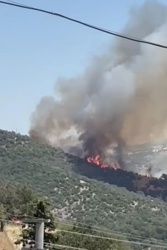 Balıkesir’in Savaştepe ilçesine bağlı Akpınar Mahallesi’nde ormanlık alanda yangın çıktı.