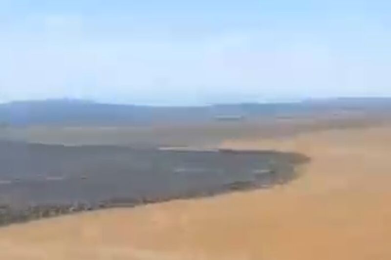 Balıkesir’in Gönen ilçesinde çıkan yangında küle dönen tarlada etrafa saçılan