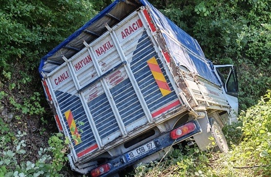 Balıkesir’in Manyas ilçesinde meydana gelen trafik kazasında 1 kişi yaralandı.