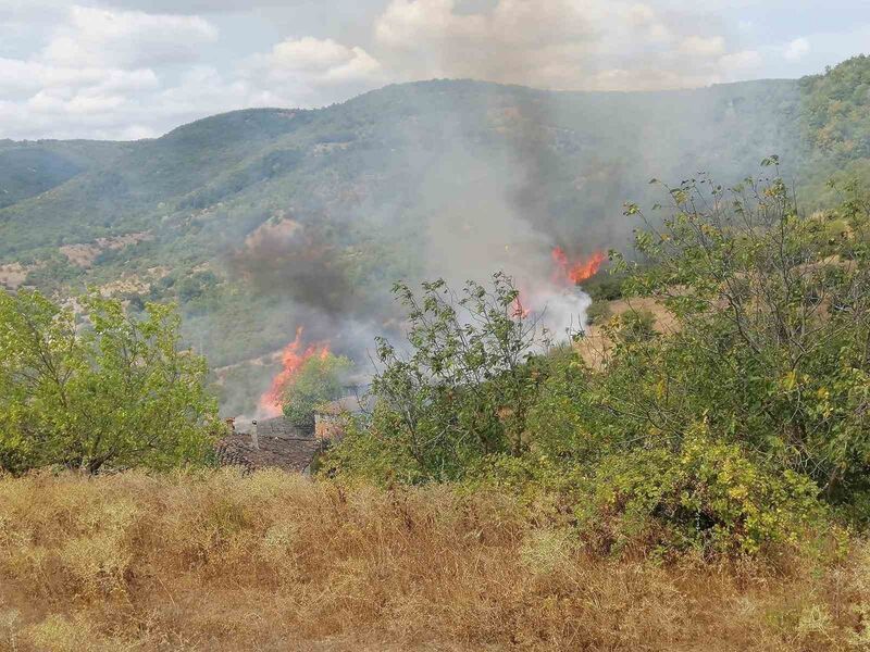 Balıkesir’in Gönen ilçesine bağlı Yürükkeçidere Mahallesi’nde çıkan yangında yaklaşık 5