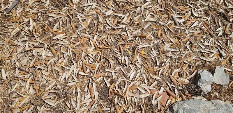 Balıkesir Üniversitesi Edremit Meslek Yüksekokulu Öğretim Üyesi Dr. Mücahit Kıvrak,