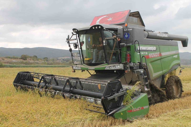 Balıkesir’in Manyas ilçesinde 100 bin dekarlık alanda çeltik hasadı başladı.