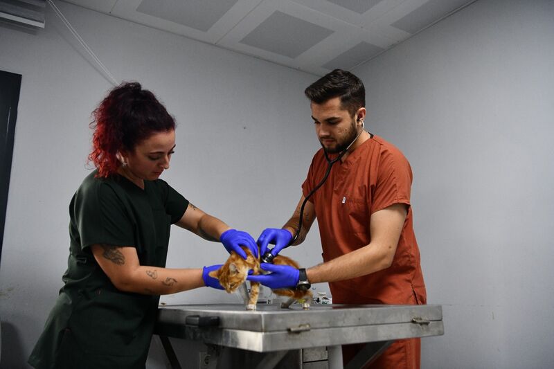 BALIKESİR’DE CAN DOSTLAR BÜYÜKŞEHİR ELİYLE GÜVENDE 8f6fc744 9b15 4af6 9b08 3d99be51adae - Yeni Gazetem: Son dakika haberler, siyaset, magazin, spor, ekonomi,sağlık