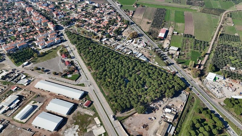 Ayvalık Altınova’da çam ağaçları arasında konumlanan ve 150 kişilik kapasiteye