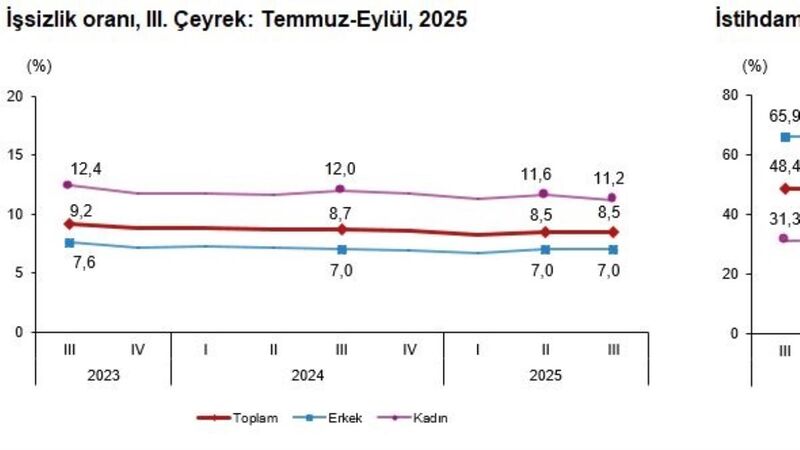 Türkiye İstatistik Kurumu tarafından açıklanan Hanehalkı İşgücü Araştırması sonuçlarına göre,