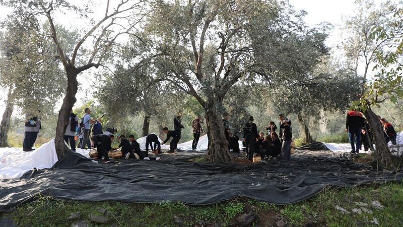 Edremit İlçe Tarım ve Orman Müdürlüğü’nün yürüttüğü “4. Tarımsal Üretim