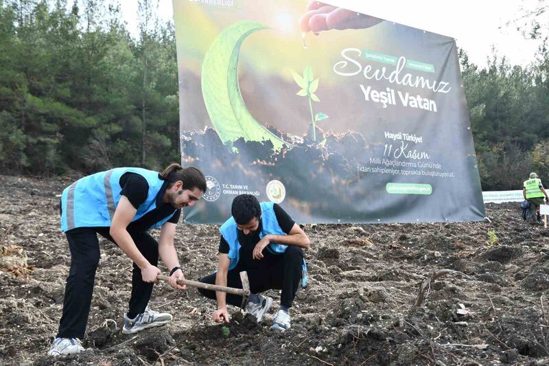 Balıkesirli gençler “Milli Ağaçlandırma Günü” kapsamında Altıeylül ilçesi Cinge Mahallesinde