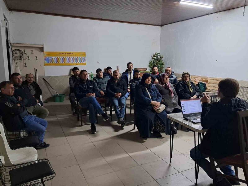 Edremit İlçesinde, 3 yıl önce 206 hektarlık alanda hayata geçirilen