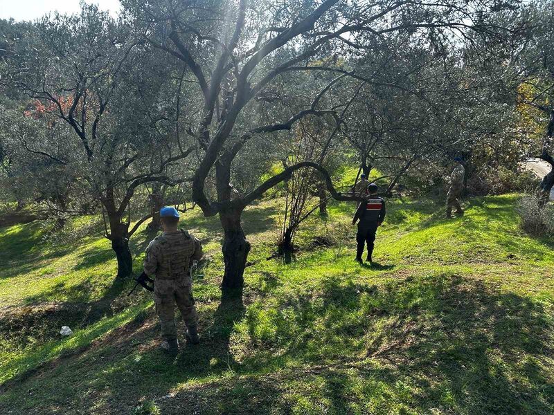 Balıkesir’in Edremit ilçesinde zeytin hasat döneminin başlamasıyla birlikte jandarma ekipleri
