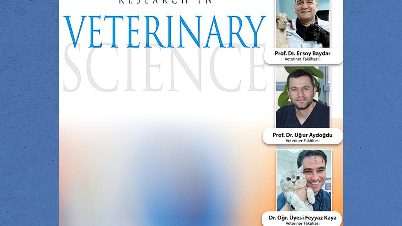 Balıkesir Üniversitesi Veteriner Fakültesi akademisyenleri, köpeklerde kemik kırıklarının iyileşme sürecinin