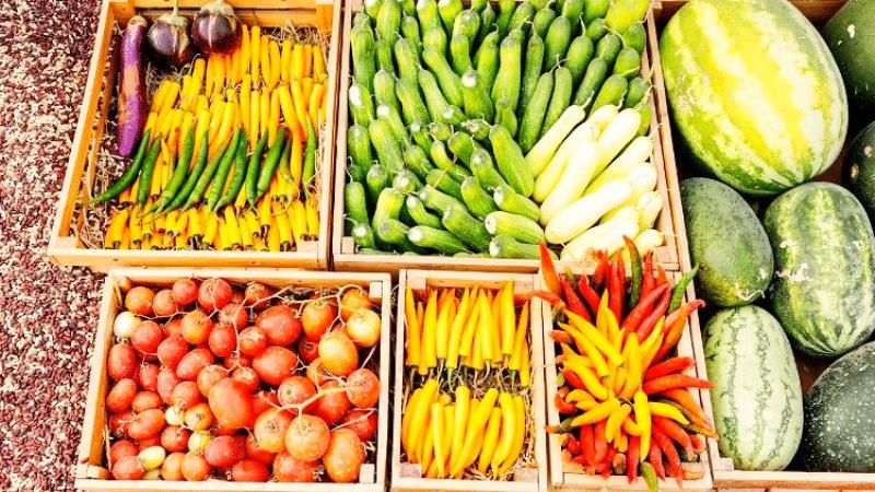 Tarım ürünleri üretici fiyat endeksi Kasım 2025’te yıllık bazda yüzde