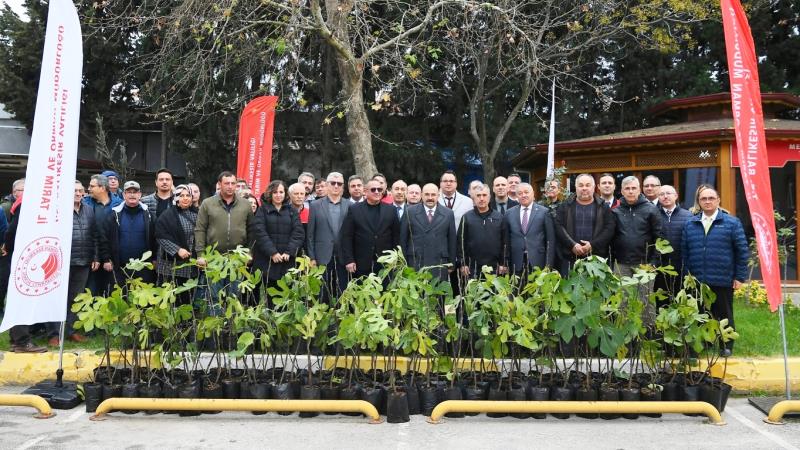 Balıkesir’de Tarım Arazilerinin Etkinleştirilmesi Projesi kapsamında hayata geçirilen İncir Üretimini