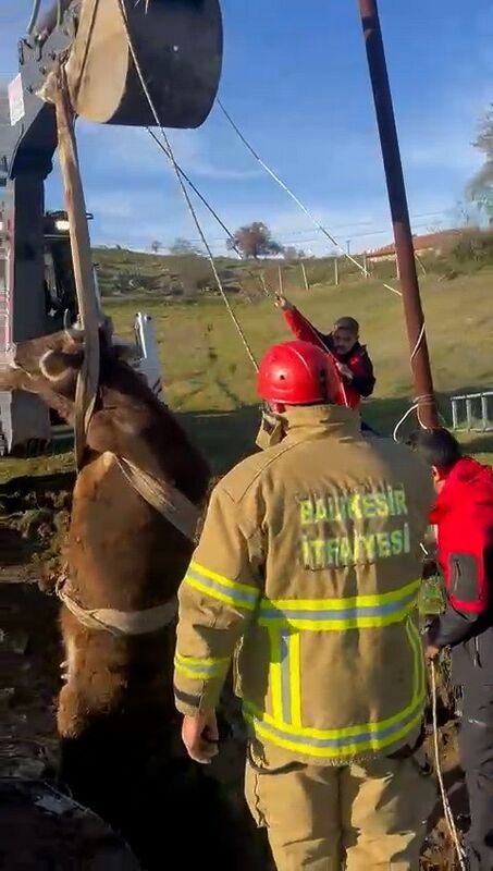 Balıkesir’in Sındırgı ilçesine bağlı Karaağaç Mahallesi’nde yol kenarındaki 3,5 metrelik