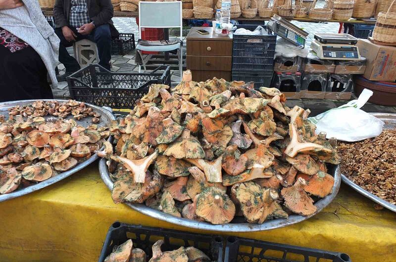 Balıkesir’in Burhaniye ilçesinde, eylül ayından beri kısa aralıklarla düşen yağışlar