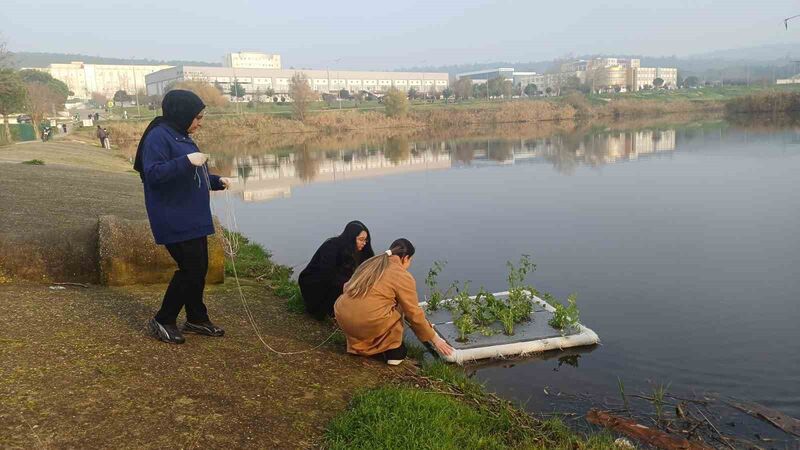 Balıkesir’de su kirliliğine bitkisel çözüm olarak, “Yüzen Bitki Adacıklarıyla Su