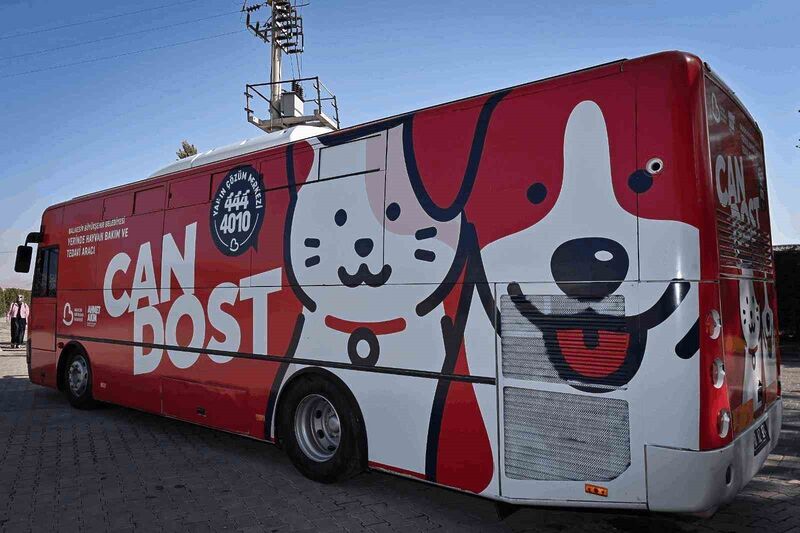 Balıkesir Büyükşehir Belediyesi’nin Can Dost Mobil Yerinde Hayvan Bakım ve