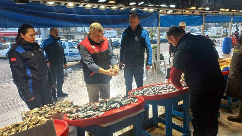 Balıkesir’in Bandırma ilçesi Balık Hali’nde “uskumru” adıyla satışa sunulan küçük