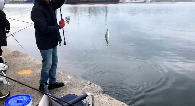 Balıkesir’in Bandırma ilçesinde, sahilde bulunan L İskele sabahın erken saatlerinden