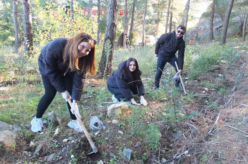 Balıkesir’in Edremit ilçesinde üç yıl önce hayata geçirilen Kazdağları Bal