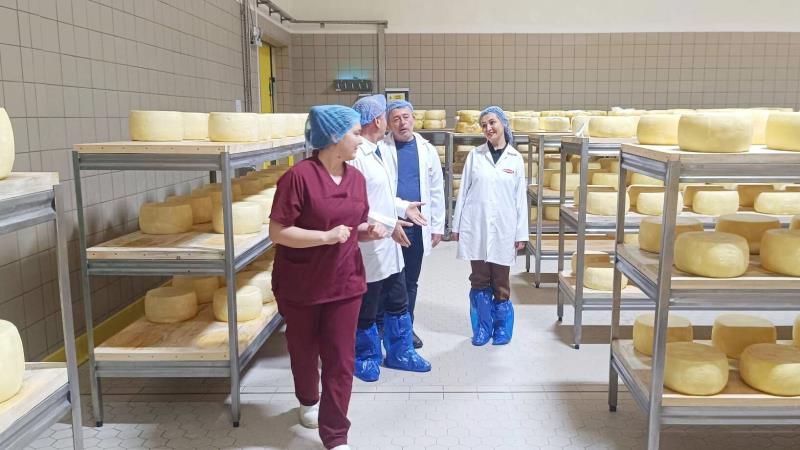 Balıkesir İl Tarım ve Orman Müdürlüğü ekipleri, saha incelemeleri kapsamında