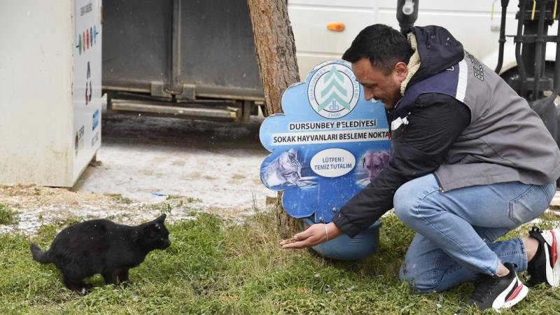 Dursunbey Belediyesi, hava sıcaklığının sıfırın altına düştüğü günlerde patili dostlar