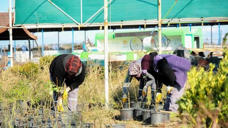 Altıeylül Belediyesi Park ve Bahçeler Müdürlüğü ekipleri, ilçe genelindeki yeşil