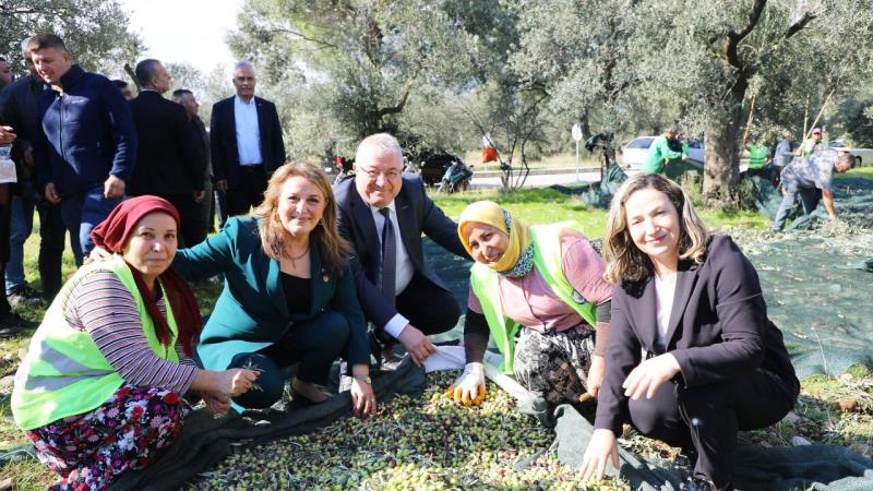 Türkiye’nin en stratejik zeytin ve zeytinyağı üretim merkezlerinin başında gelen