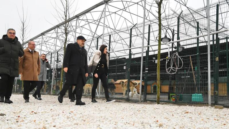 Balıkesir Valisi İsmail Ustaoğlu, sosyal sorumluluk ve hayvan hakları konusundaki