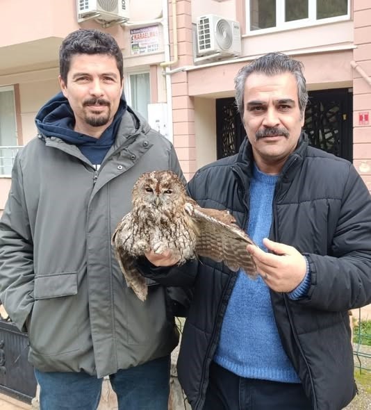 Burhaniye ilçesinde, 3 günden beri yaşanan aşırı soğuklar doğadaki canlıları