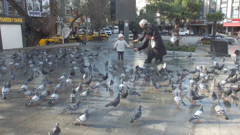 Burhaniye ilçesinde, yaklaşık 11 yıldan bu yana Cumhuriyet Meydanı güvercinlerin