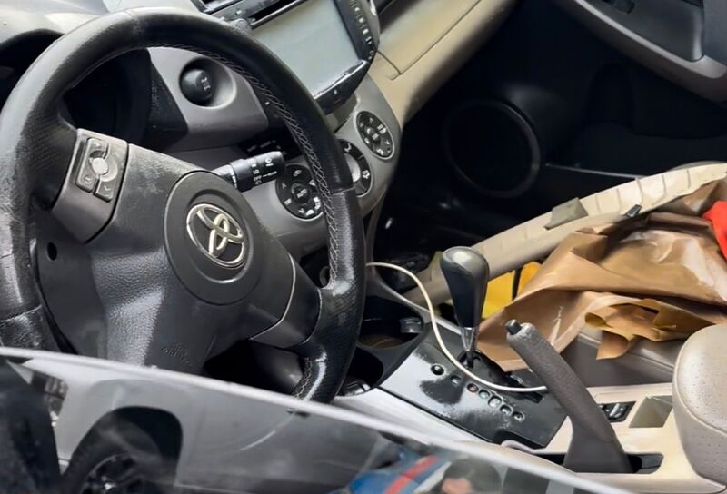 Balıkesir’in Erdek ilçesine bağlı Kapıdağ Yarımadası’nda bulunan Yukarıyapıcı Göleti’nden çıkarılan,