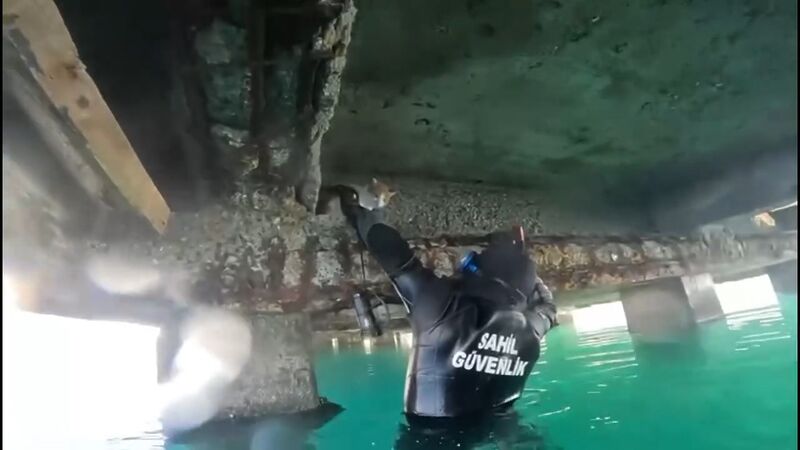 Balıkesir’in Edremit ilçesinde, denizin kenarındaki iskelenin altında mahsur kalan kedi,