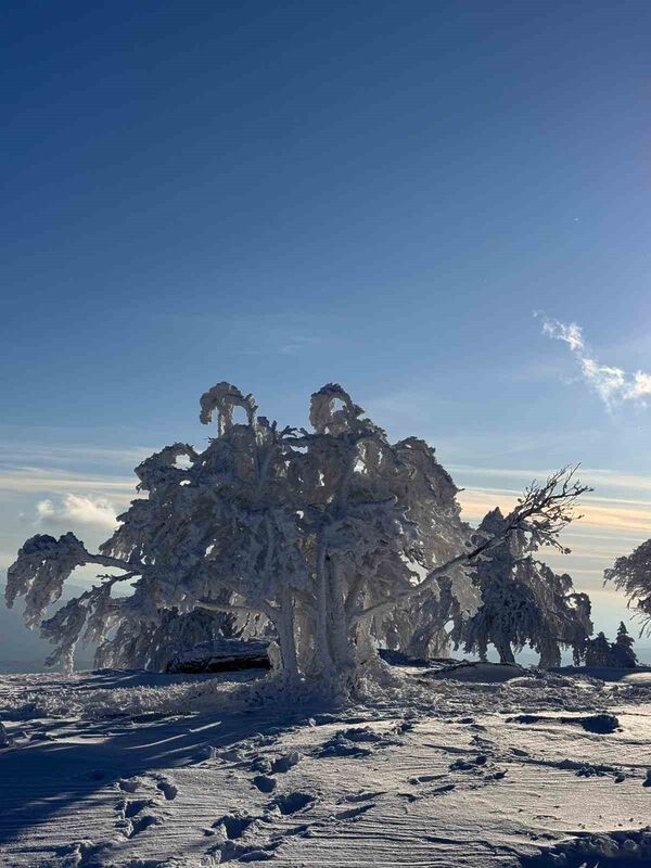 Balıkesir’in Susurluk ilçesinde bulunan bin 300 metre yüksekliğine sahip Çataldağ’da