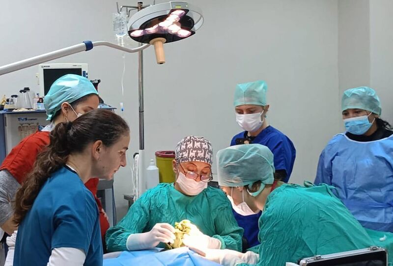 BAÜN Veteriner Fakültesi Hayvan Hastanesi, her yıl artan hizmet kalitesi