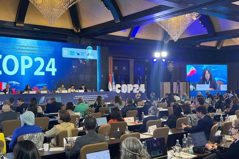 Balıkesir Büyükşehir Belediyesi, Birleşmiş Milletler Çevre Programı kapsamında Akdeniz Eylem