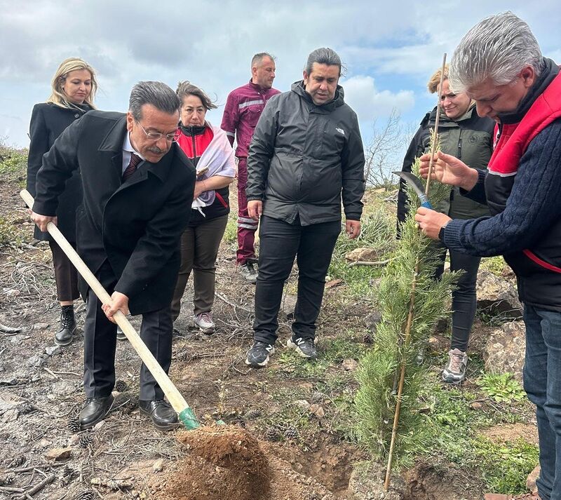 Burhaniye ilçesinde, Orman Haftası münasebetiyle Pelitköy mahallesinde fidan dikimi etkinliği