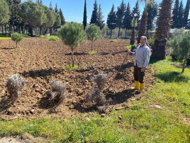 Balıkesir Üniversitesi, Edremit Meslek Yüksekokulu bahçesinde kurulması planlanan lavanta bahçesi