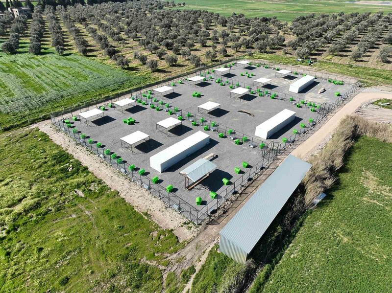 Balıkesir’in Edremit Belediyesi, sokak hayvanlarının yaşam kalitesini artırmak amacıyla hayata