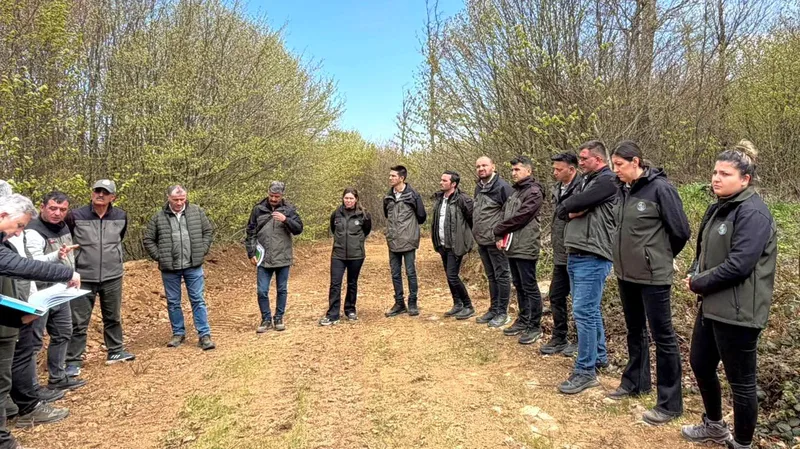 Balıkesir Orman Bölge Müdürlüğü, kayın ormanlarında silvikültürel müdahaleler konusunda genç