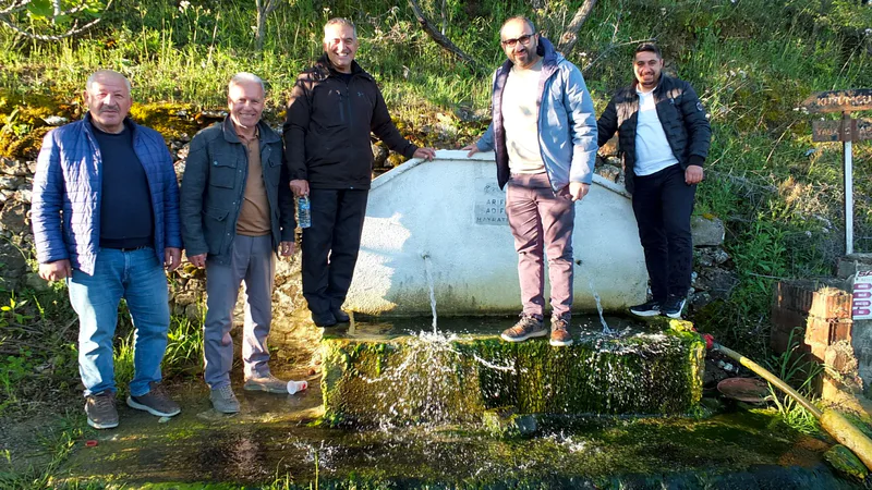Balıkesir Burhaniye'de bol yağışlı geçen kış, zeytin üreticilerine umut verdi.