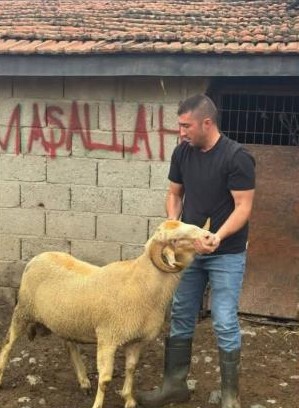 Burhaniye ilçesinde, kurban bayramına bir aydan az bir zaman kala