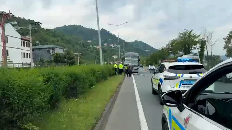 Trabzon'un Sürmene ilçesinde Antalya'dan dönen yabancı plakalı yolcu otobüsü, elektrik