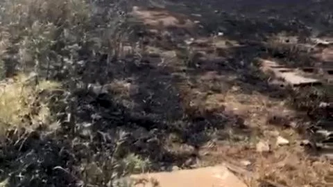 Balıkesir'in Ayvalık ilçesinde bulunan ahırda çıkan yangın, itfaiye ekiplerinin yoğun