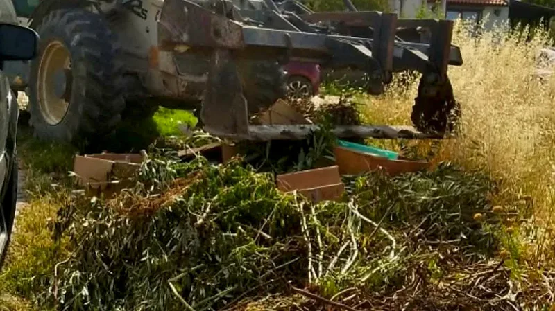 Ayvalık Belediyesi Zabıta Müdürlüğü ekipleri, yaz sezonuyla birlikte artan çevre